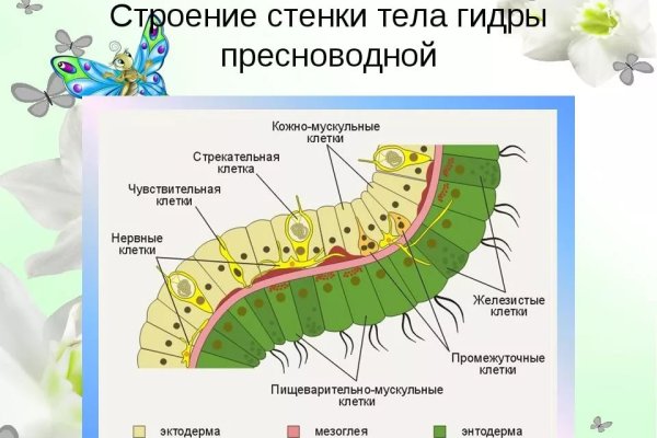 Кракен сайт с наркотиками