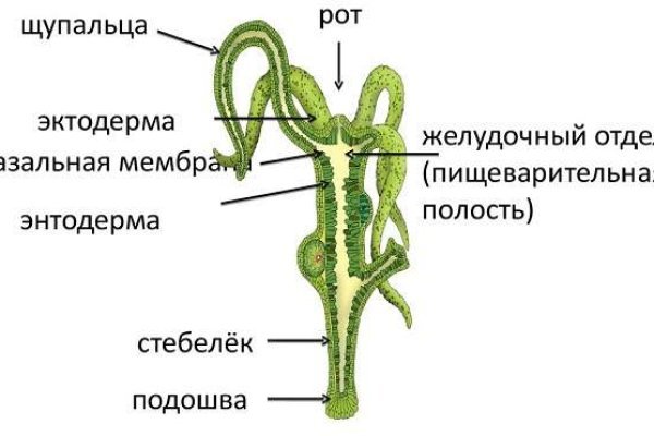 Рабочая ссылка на кракен kraken 11